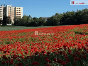 Prodej bytu 4+1, Prachatice - Prachatice II, Národní, 85 m2