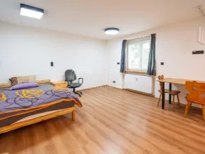 Prodej bytu 1+kk, Neratovice, Školní, 30 m2