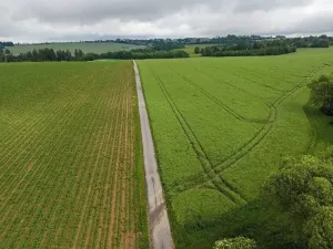 Dražba rodinného domu, Velká Losenice, 64 m2