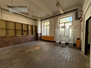 Prodej činžovního domu, Praha - Strašnice, Na hroudě, 400 m2