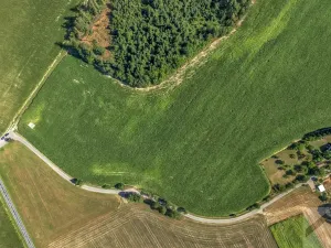 Prodej pole, Helvíkovice, 14131 m2