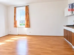 Pronájem bytu 1+kk, České Budějovice - České Budějovice 3, Pekárenská, 30 m2