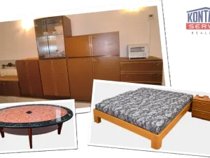 Pronájem bytu 1+kk, České Budějovice - České Budějovice 3, Pekárenská, 30 m2