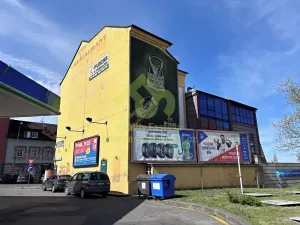 Prodej rodinného domu, Plzeň, Lindauerova, 776 m2