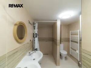 Prodej chalupy, Bartošovice v Orlických horách, 253 m2