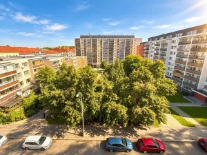 Pronájem bytu 2+1, Praha - Žižkov, Bořivojova, 60 m2