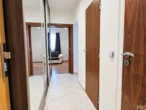 Pronájem bytu 3+1, Hodonín, Cihlářská čtvrť, 52 m2