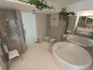 Prodej rodinného domu, Brodek u Konice, 230 m2
