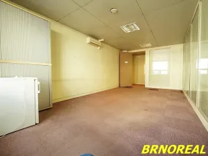 Pronájem kanceláře, Brno, Příkop, 20 m2
