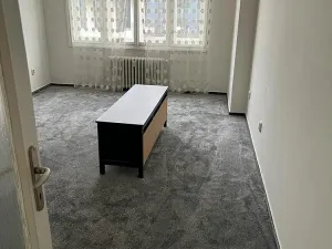 Pronájem bytu 1+1, Praha - Karlín, Thámova, 46 m2
