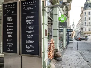 Pronájem bytu 4+kk, Brno - Brno-město, Panská, 111 m2