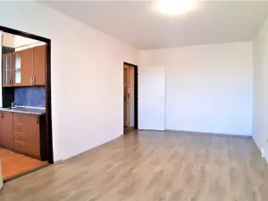 Pronájem bytu 1+1, Bílina - Pražské Předměstí, Fügnerova, 33 m2