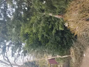 Dražba rodinného domu, Štětí, 86 m2