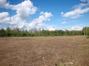 Prodej pozemku pro bydlení, Mariánské Radčice, Československé armády, 987 m2