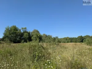 Prodej pozemku pro bydlení, Mariánské Radčice, Československé armády, 987 m2