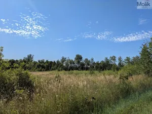Prodej pozemku pro bydlení, Mariánské Radčice, Československé armády, 987 m2