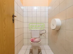 Pronájem obchodního prostoru, Karlovy Vary, Rohová, 112 m2