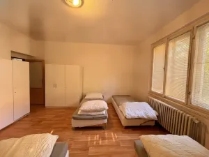 Pronájem ubytování, Plzeň, Mánesova, 305 m2