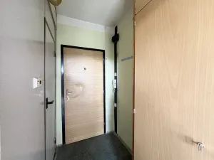 Prodej bytu 1+1, Ústí nad Labem - Severní Terasa, Kmochova, 33 m2