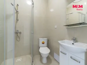 Pronájem bytu 1+kk, Cheb, Havlíčkova, 50 m2