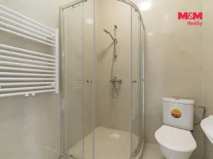 Pronájem bytu 1+kk, Cheb, Havlíčkova, 50 m2