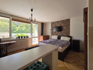 Prodej bytu 1+kk, Brno, Ukrajinská, 31 m2