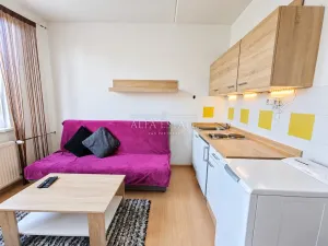 Pronájem bytu 1+kk, Karlovy Vary, Fibichova, 18 m2