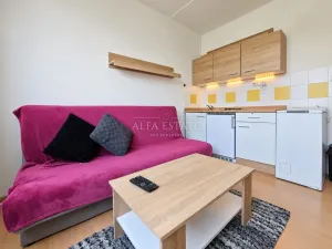 Pronájem bytu 1+kk, Karlovy Vary, Fibichova, 18 m2