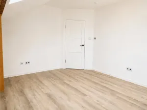 Prodej rodinného domu, Pátek, V Ohrádkách, 188 m2
