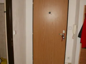 Pronájem bytu 1+1, Plzeň - Východní Předměstí, Zahradní, 30 m2