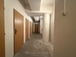 Pronájem bytu 2+kk, Plzeň, Na Chmelnicích, 54 m2