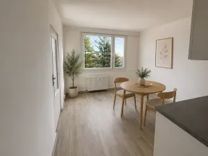 Pronájem bytu 1+1, Litvínov, Mládežnická, 38 m2