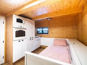 Pronájem chaty, Tehov, Údolí Raků, 88 m2