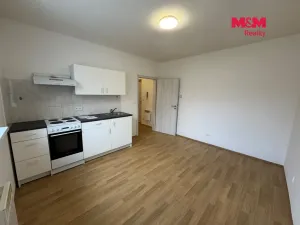 Pronájem bytu 1+kk, Mšené-lázně, Mládežnická, 21 m2