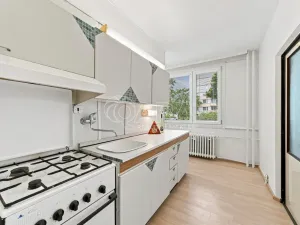 Prodej bytu 2+1, Ústí nad Labem - Severní Terasa, Werichova, 52 m2