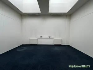 Pronájem kanceláře, Praha - Libeň, Lisabonská, 30 m2