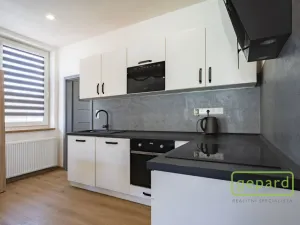 Prodej bytu 2+kk, Hranice, Vítězná, 57 m2