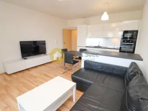 Prodej bytu 2+kk, Plzeň - Bolevec, U Velkého rybníka, 57 m2