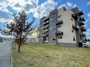Prodej bytu 2+kk, Plzeň - Bolevec, U Velkého rybníka, 57 m2