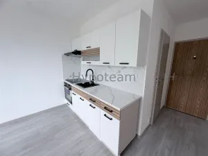 Pronájem bytu 1+1, Ústí nad Labem - Severní Terasa, Šumavská, 34 m2