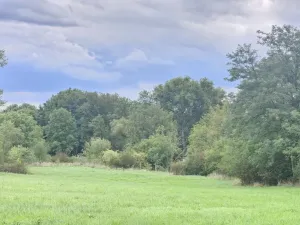 Prodej rodinného domu, Býčkovice - Velký Újezd, 700 m2
