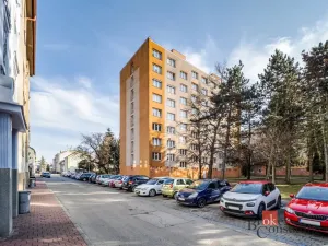 Pronájem bytu 1+1, České Budějovice - České Budějovice 3, Puklicova, 40 m2