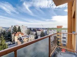 Pronájem bytu 1+1, České Budějovice - České Budějovice 3, Puklicova, 40 m2