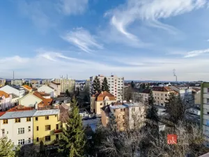 Pronájem bytu 1+1, České Budějovice - České Budějovice 3, Puklicova, 40 m2