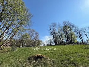 Prodej pozemku pro bydlení, Kořenov, 12296 m2