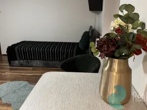 Pronájem bytu 1+kk, České Budějovice, Boh. Kafky, 29 m2