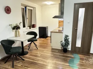 Pronájem bytu 1+kk, České Budějovice, Boh. Kafky, 29 m2
