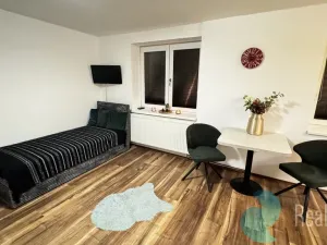 Pronájem bytu 1+kk, České Budějovice, Boh. Kafky, 29 m2