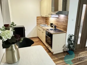 Pronájem bytu 1+kk, České Budějovice, Boh. Kafky, 29 m2
