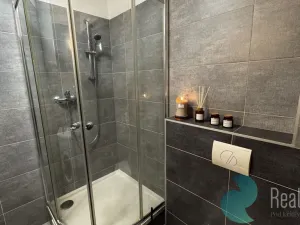 Pronájem bytu 1+kk, České Budějovice, Boh. Kafky, 29 m2